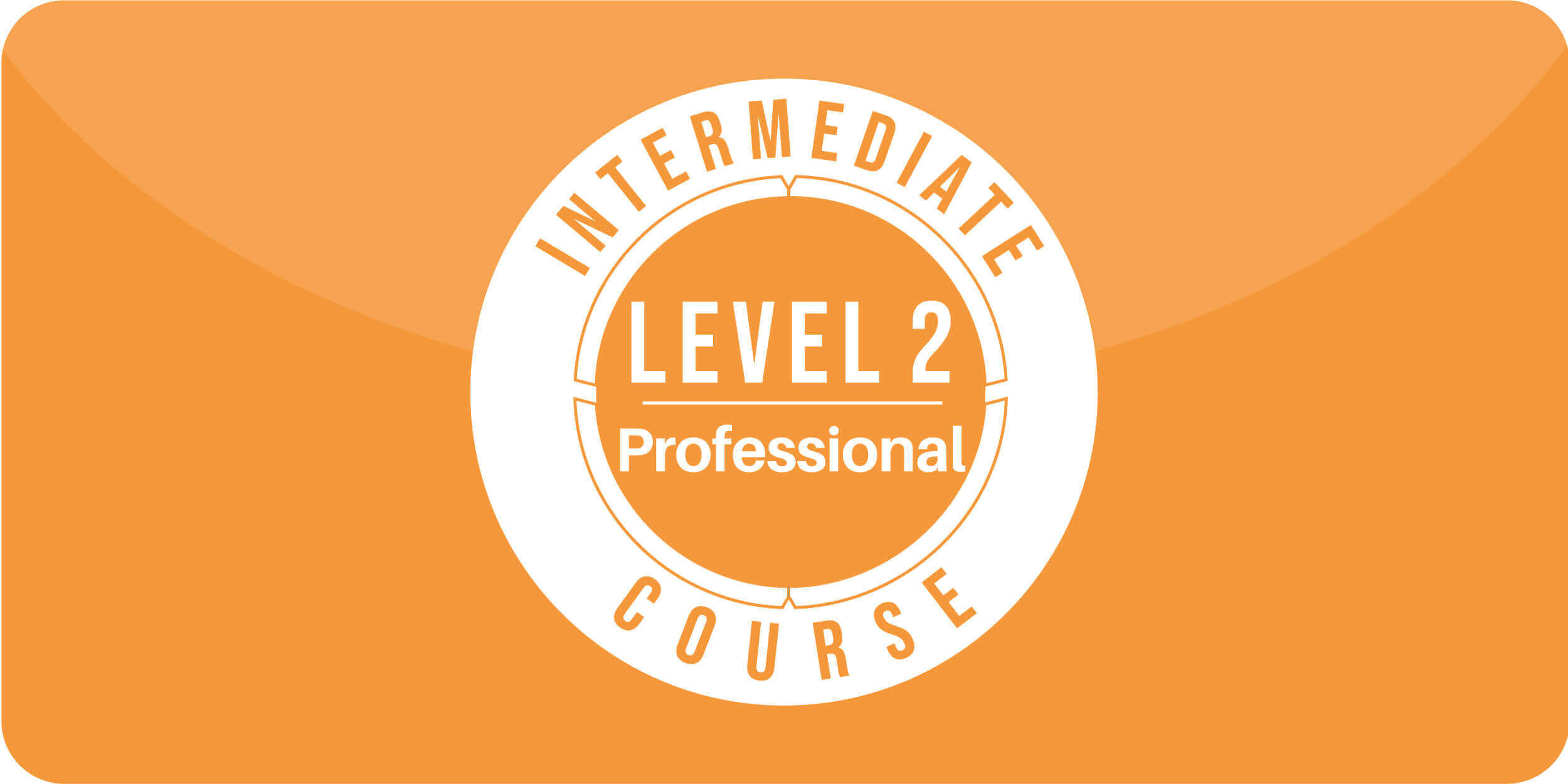 Level 2 professional logo